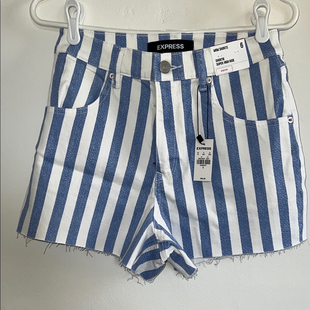 Express Striped Blue and White Jean Shorts